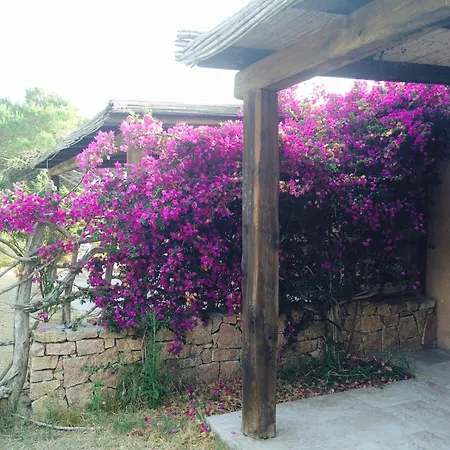 Baia Santa Reparata 圣特雷莎加卢拉