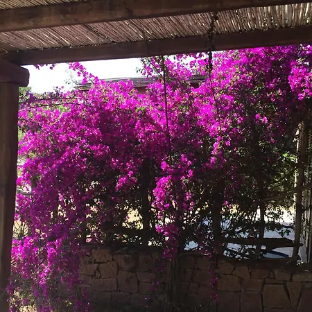 Baia Santa Reparata 度假居 圣特雷莎加卢拉