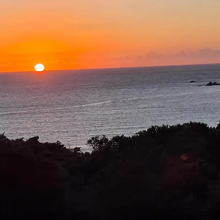 度假居 Baia Santa Reparata 圣特雷莎加卢拉