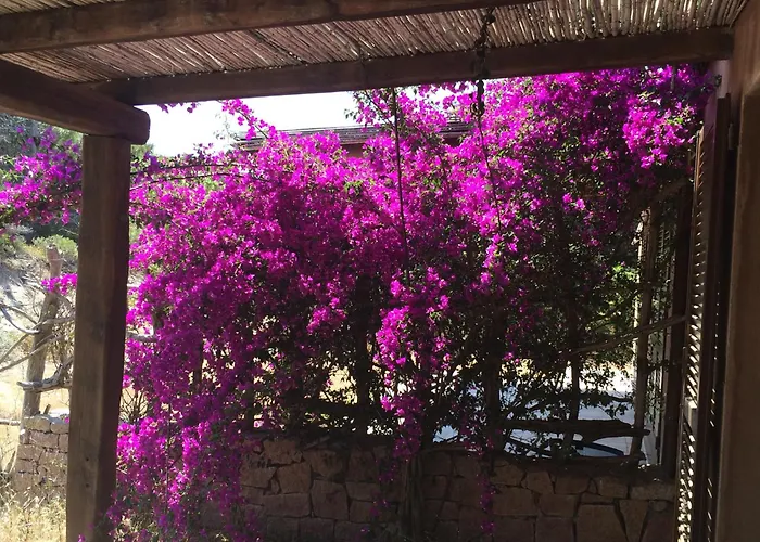 Baia Santa Reparata Casa vacanze Santa Teresa di Gallura